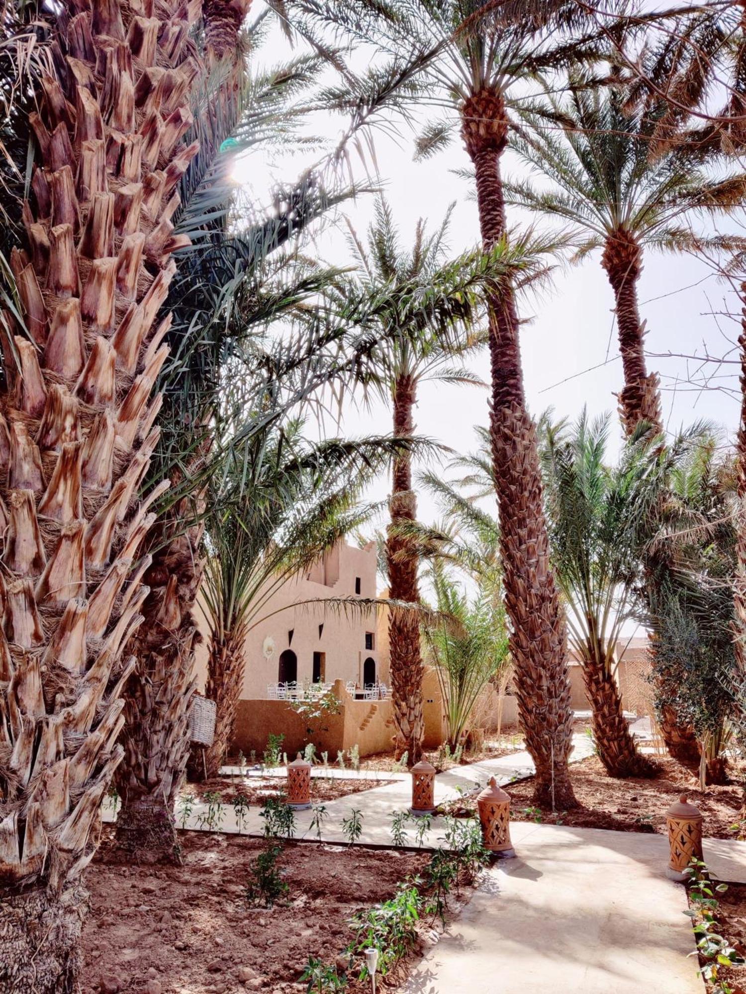 Zagora Oasis Lodge 外观 照片