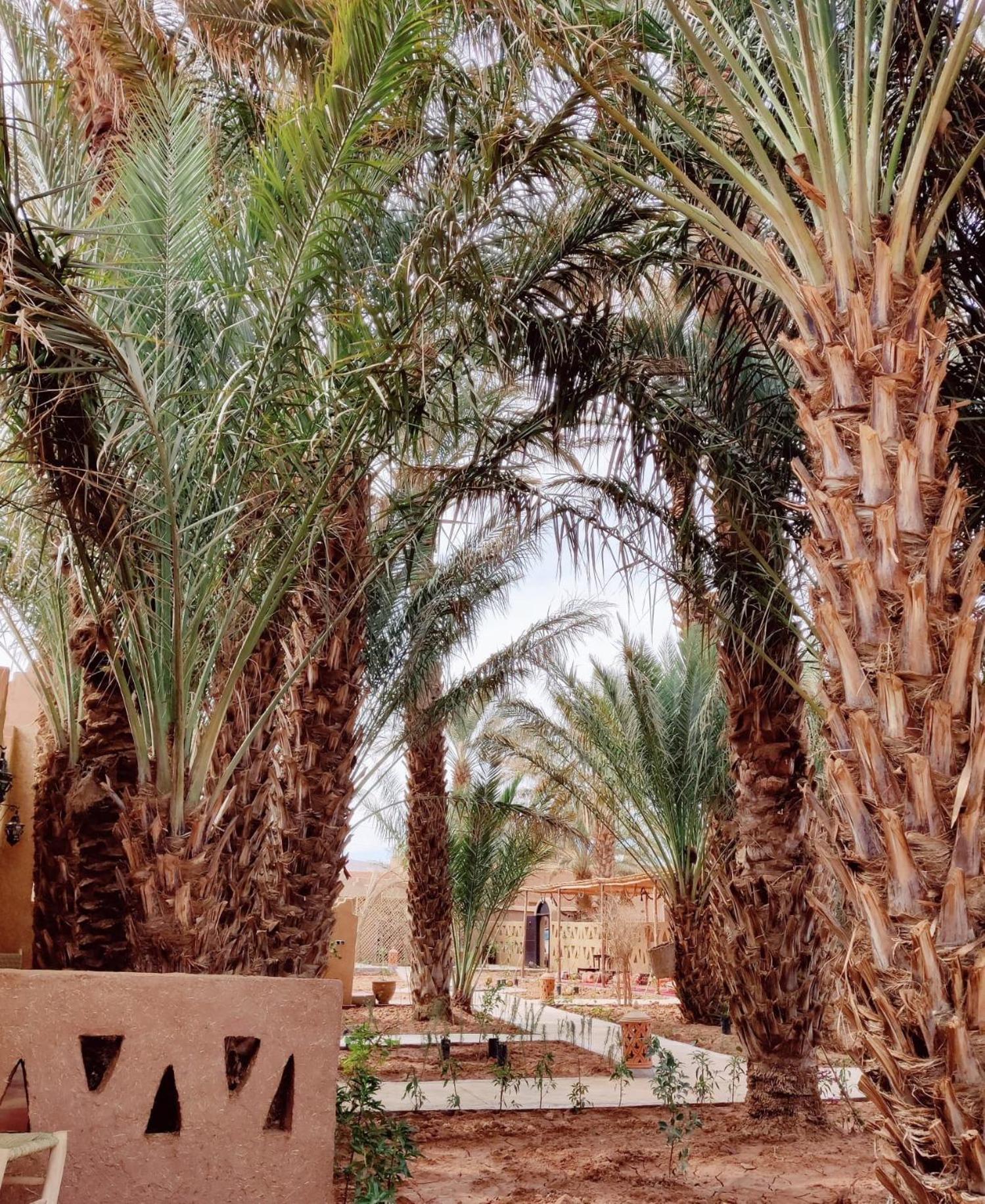 Zagora Oasis Lodge 外观 照片